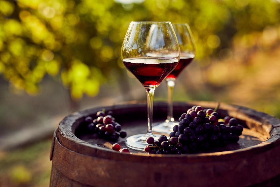 15 Gerakan Tingkat Sommelier untuk Belajar Tentang Wine
